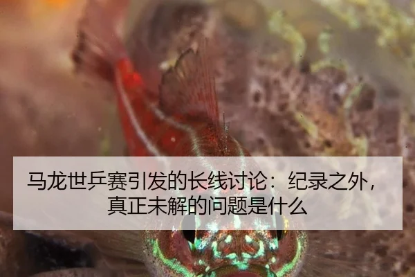 马龙世乒赛引发的长线讨论：纪录之外，真正未解的问题是什么